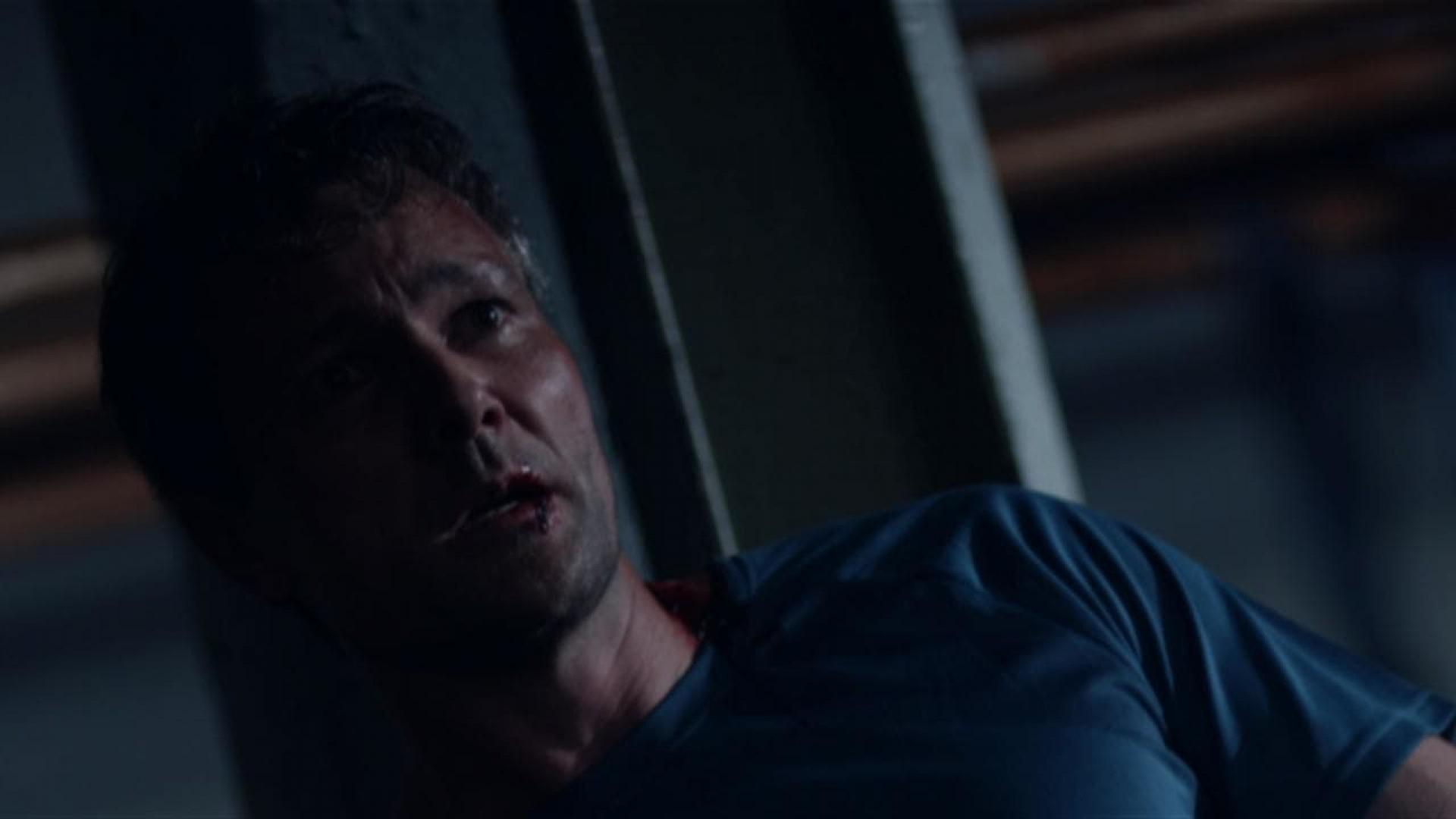 Nerve