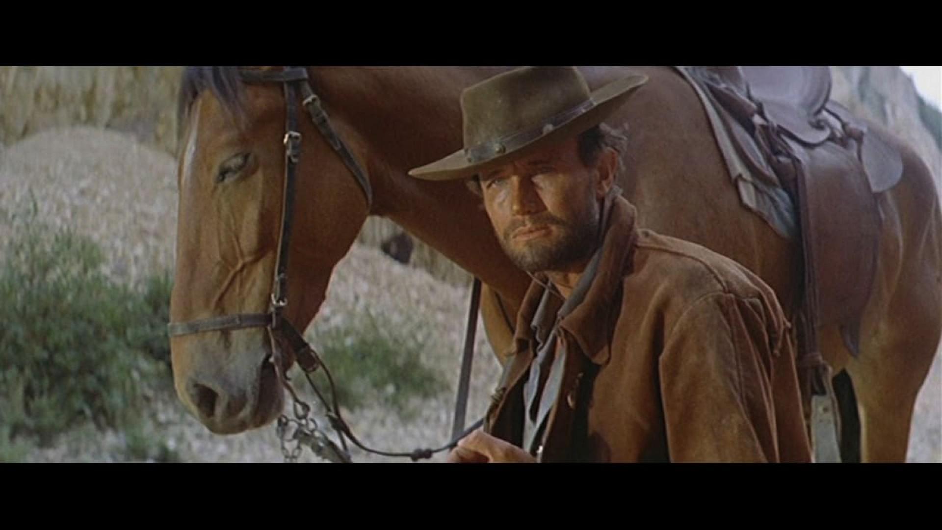 Django - Die Geier stehen Schlange