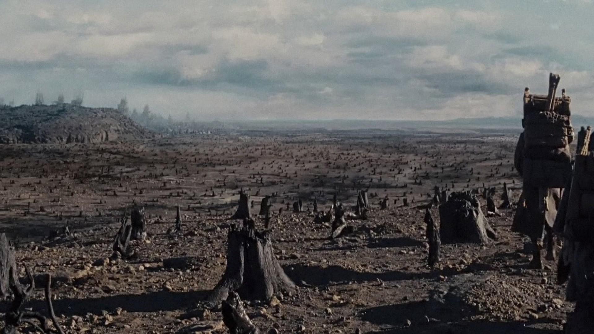 Scorched