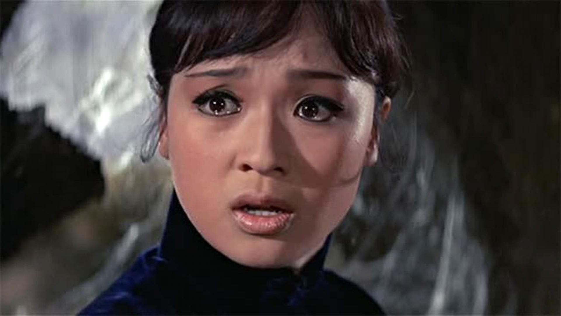 The Fugitive