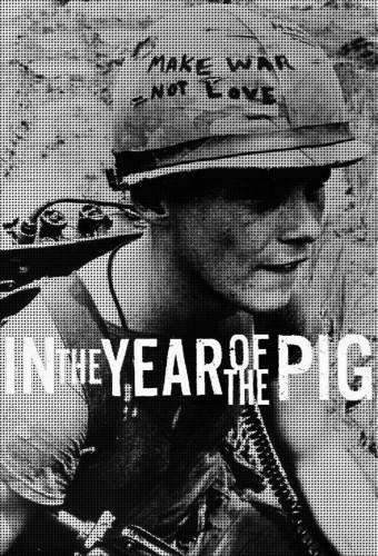 In the Year of the Pig