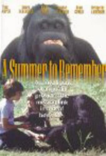 A Summer to Remember