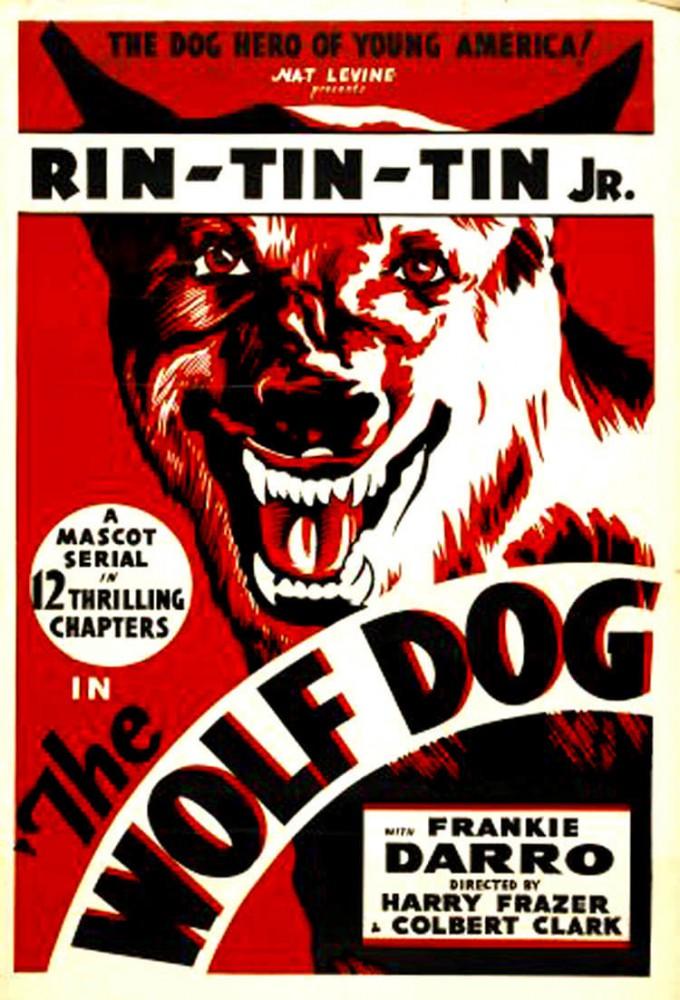 The Wolf Dog