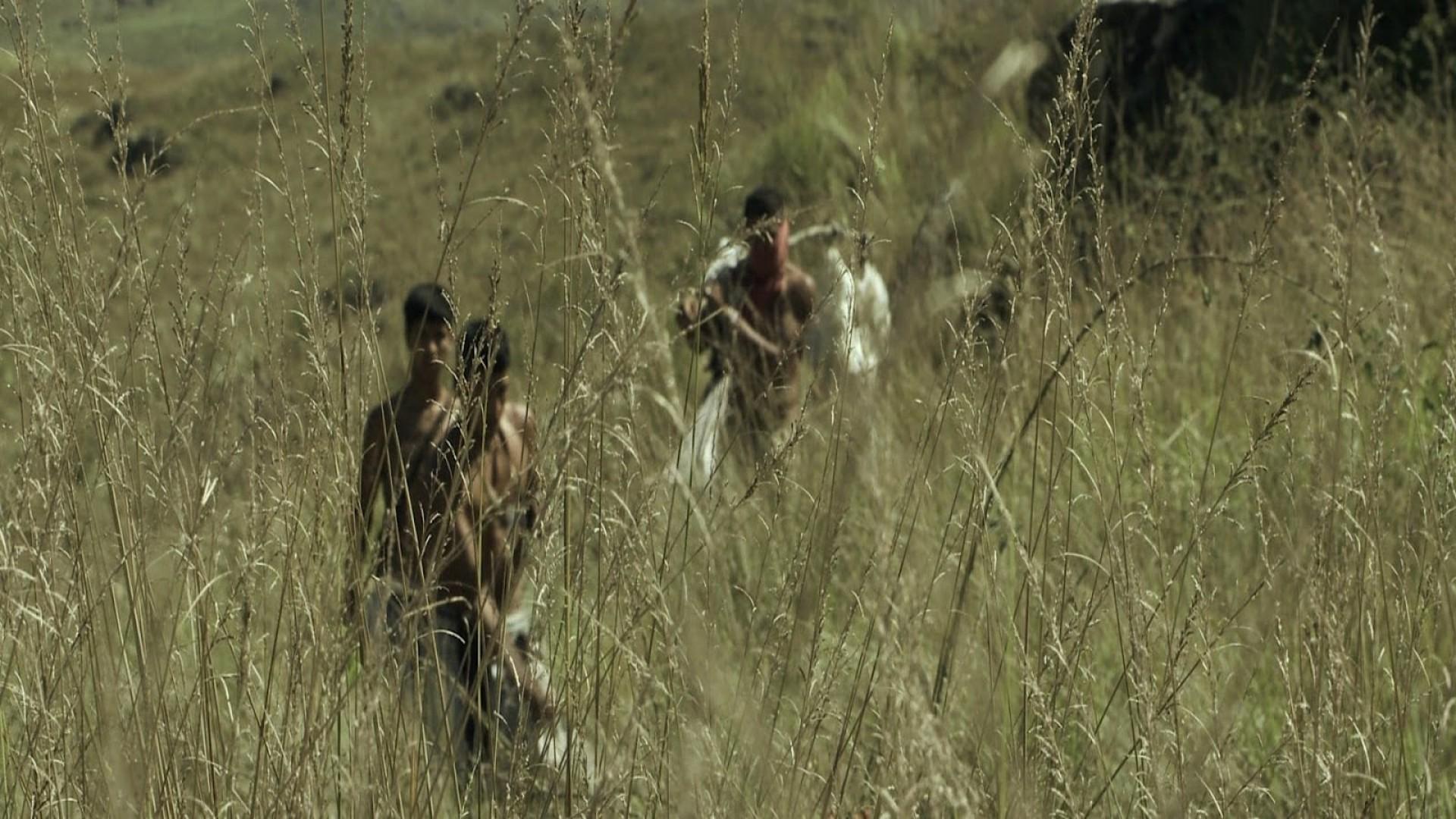 The Wild Ones