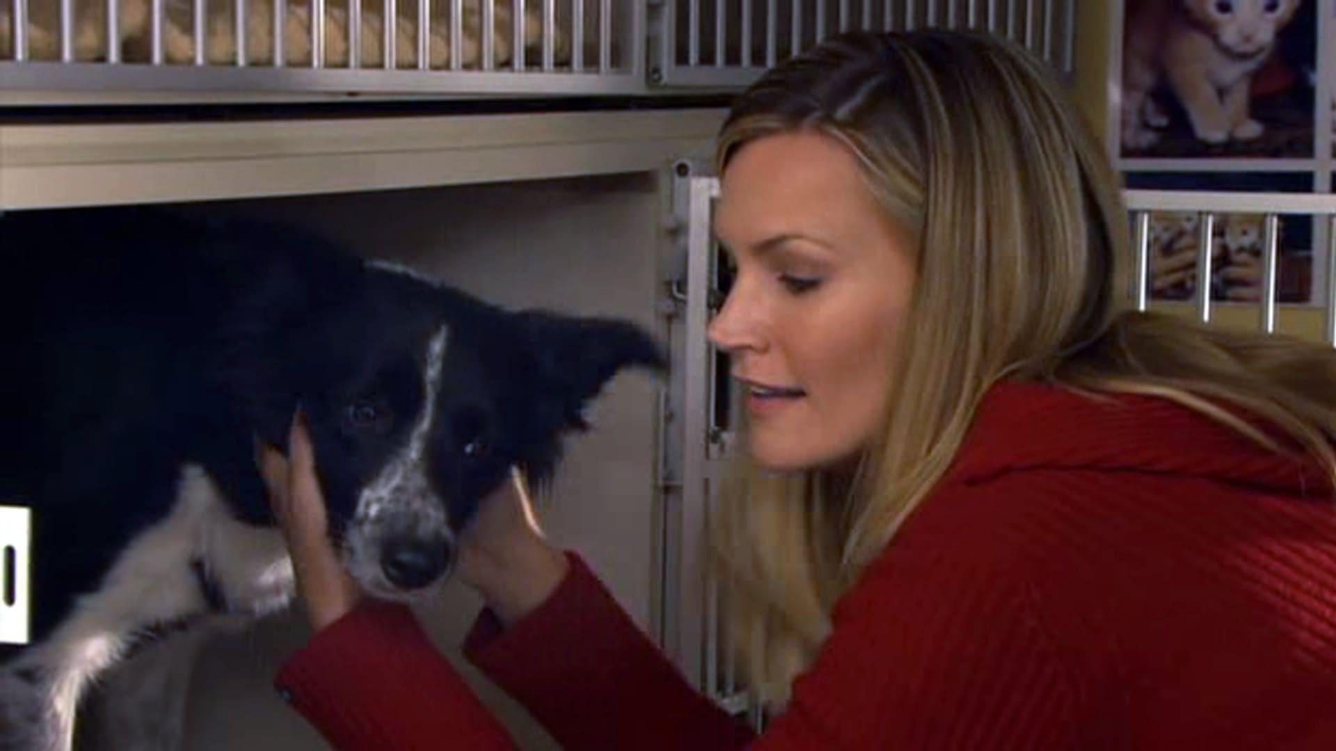 Il grande cuore di Lucky