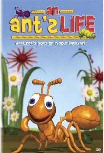 An Ant's Life