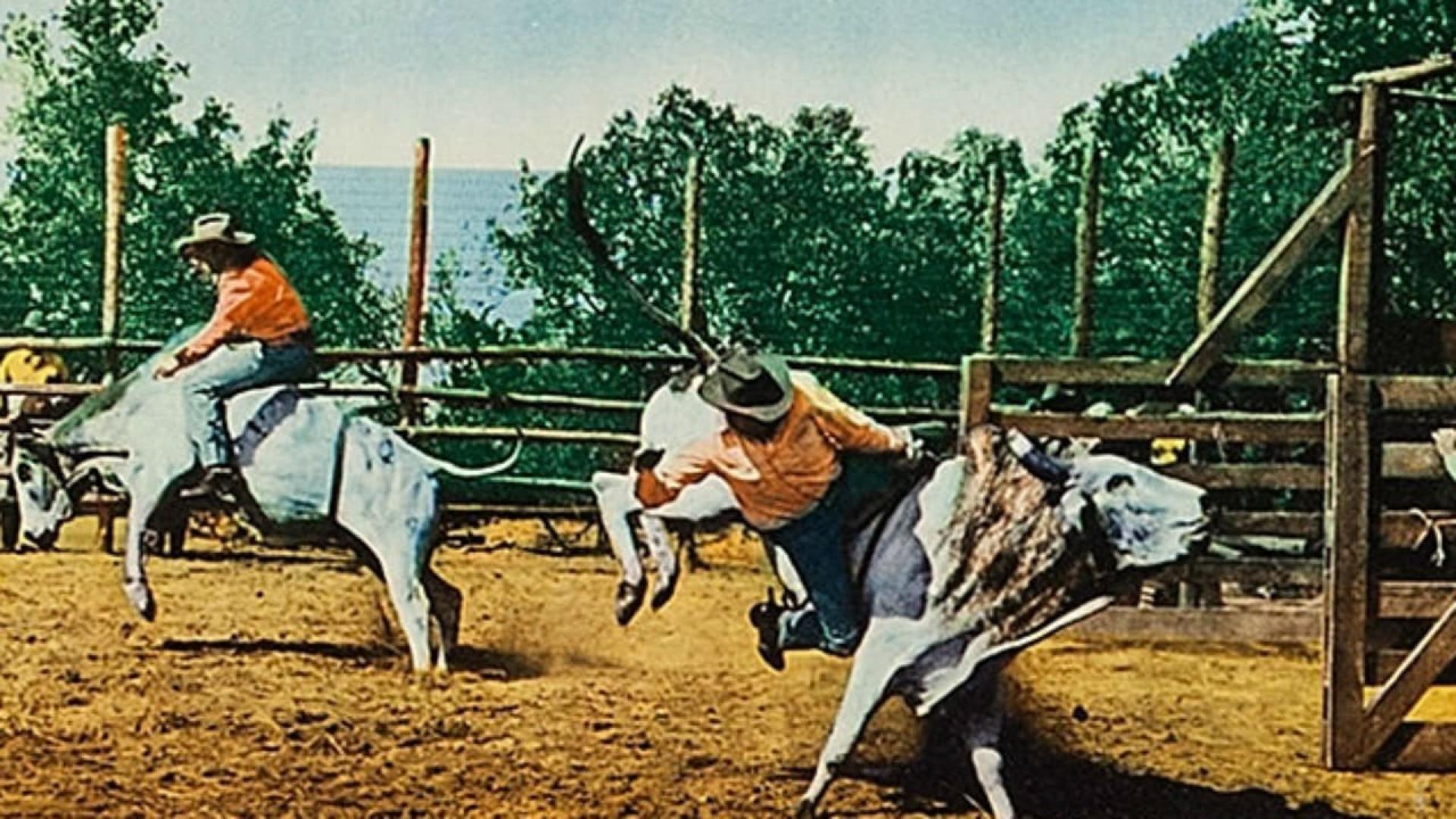 Bronco Buster