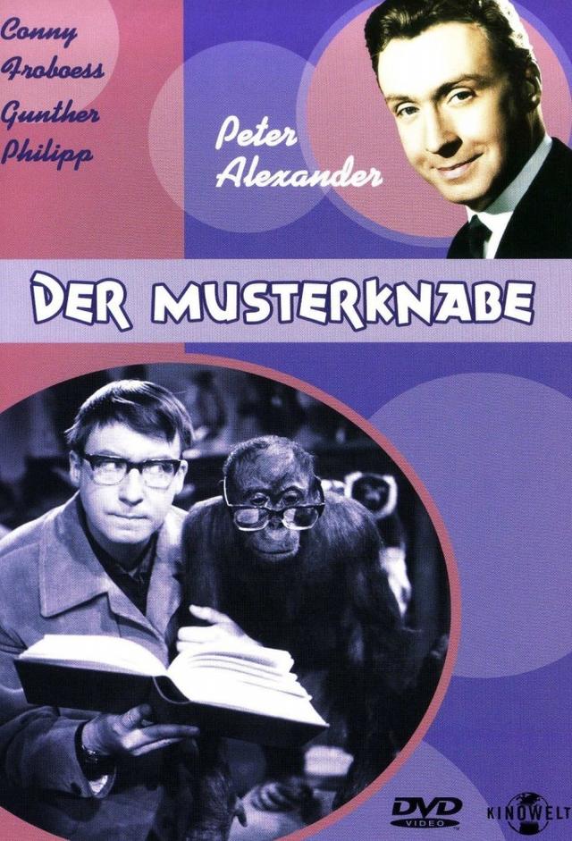 Der Musterknabe