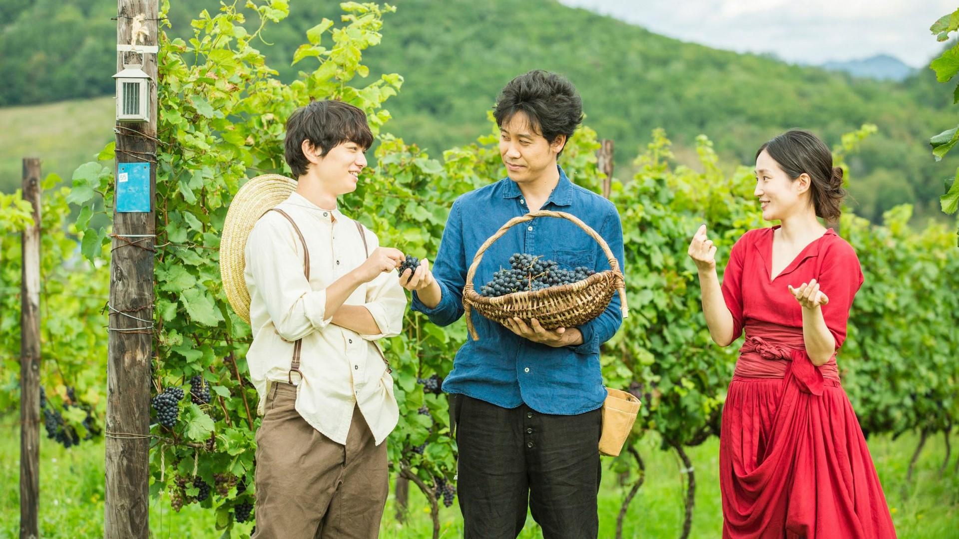 A Drop of the Grapevine
