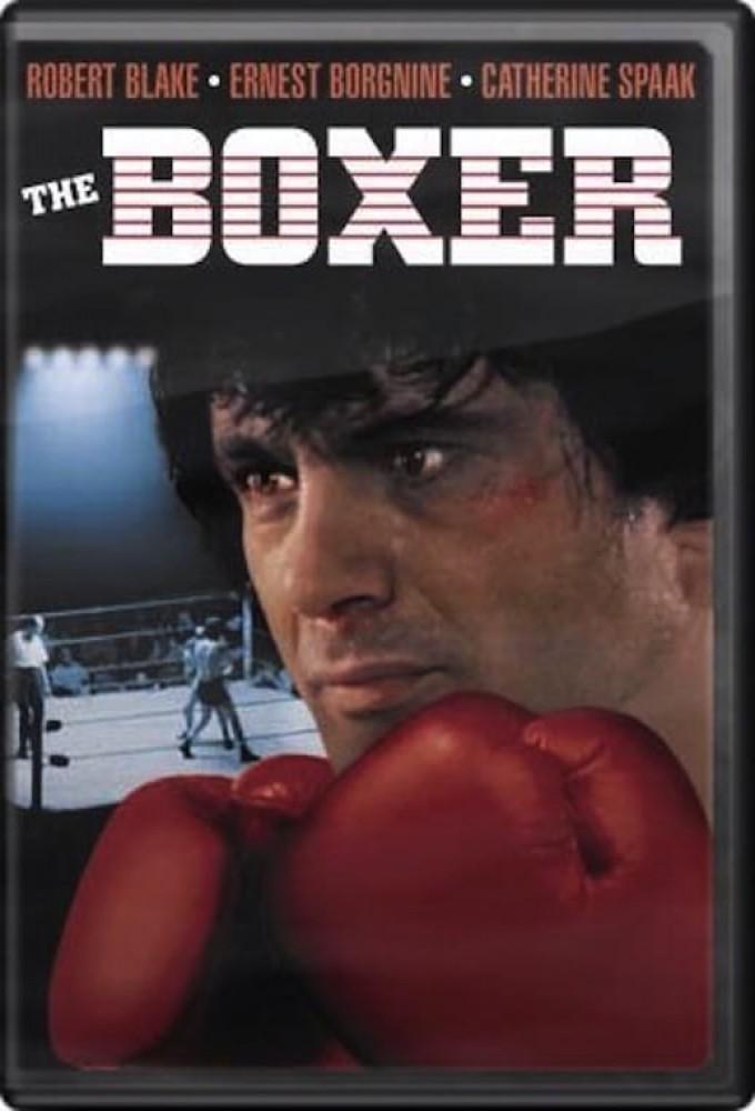 The Boxer