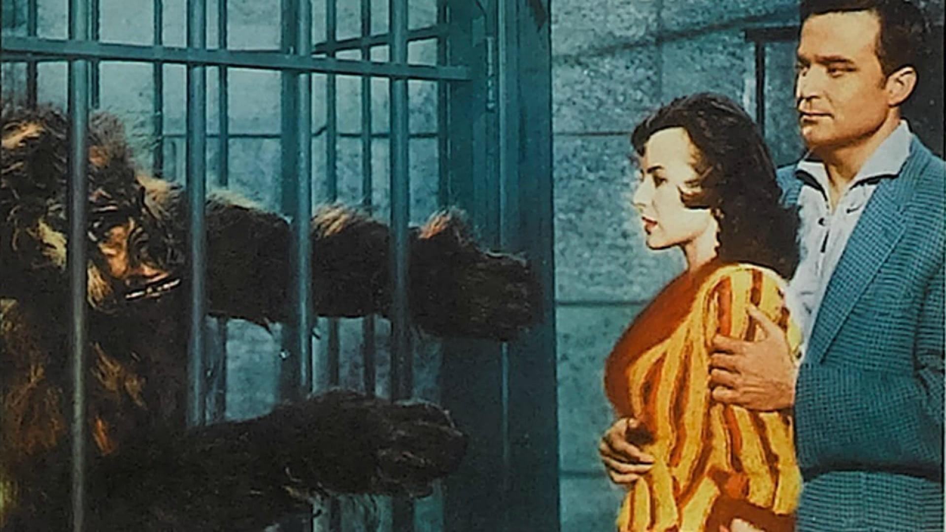 The Bride and the Beast