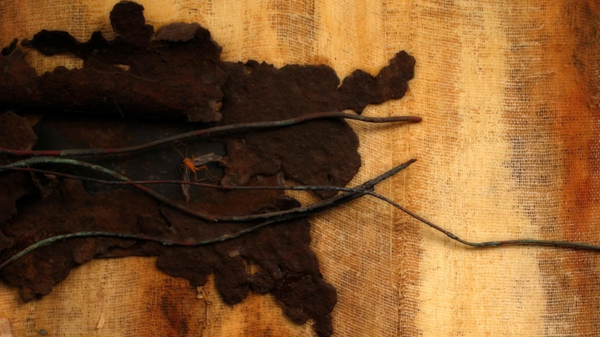 Nine Inch Nails: Closure