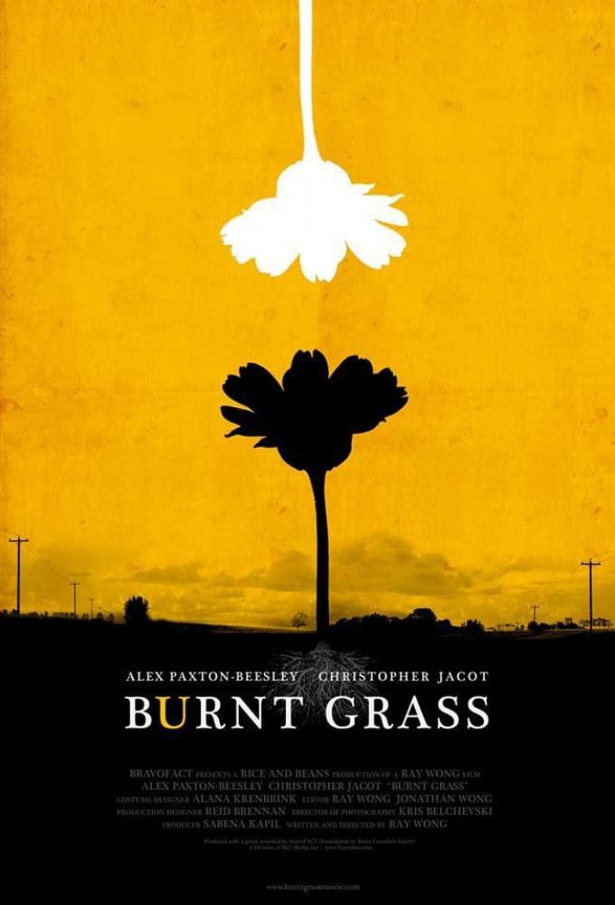Burnt Grass