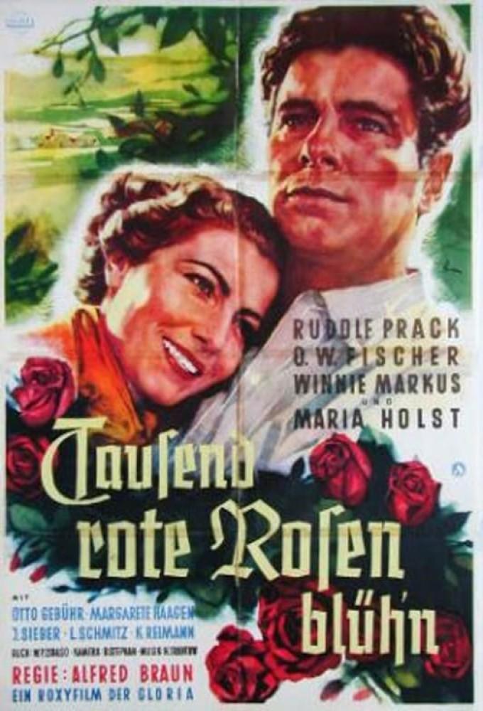 Tausend rote Rosen blüh'n