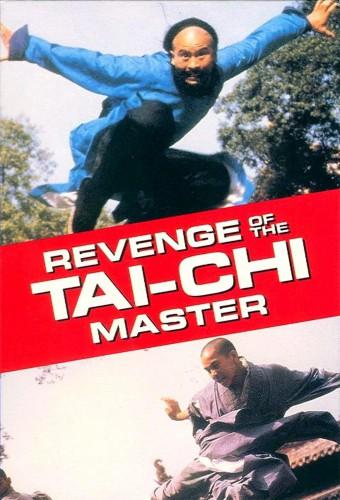 Revenge of the Tai-Chi Master