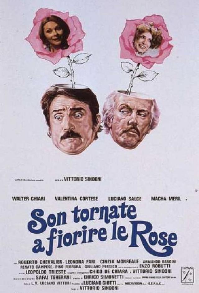 Son tornate a fiorire le rose