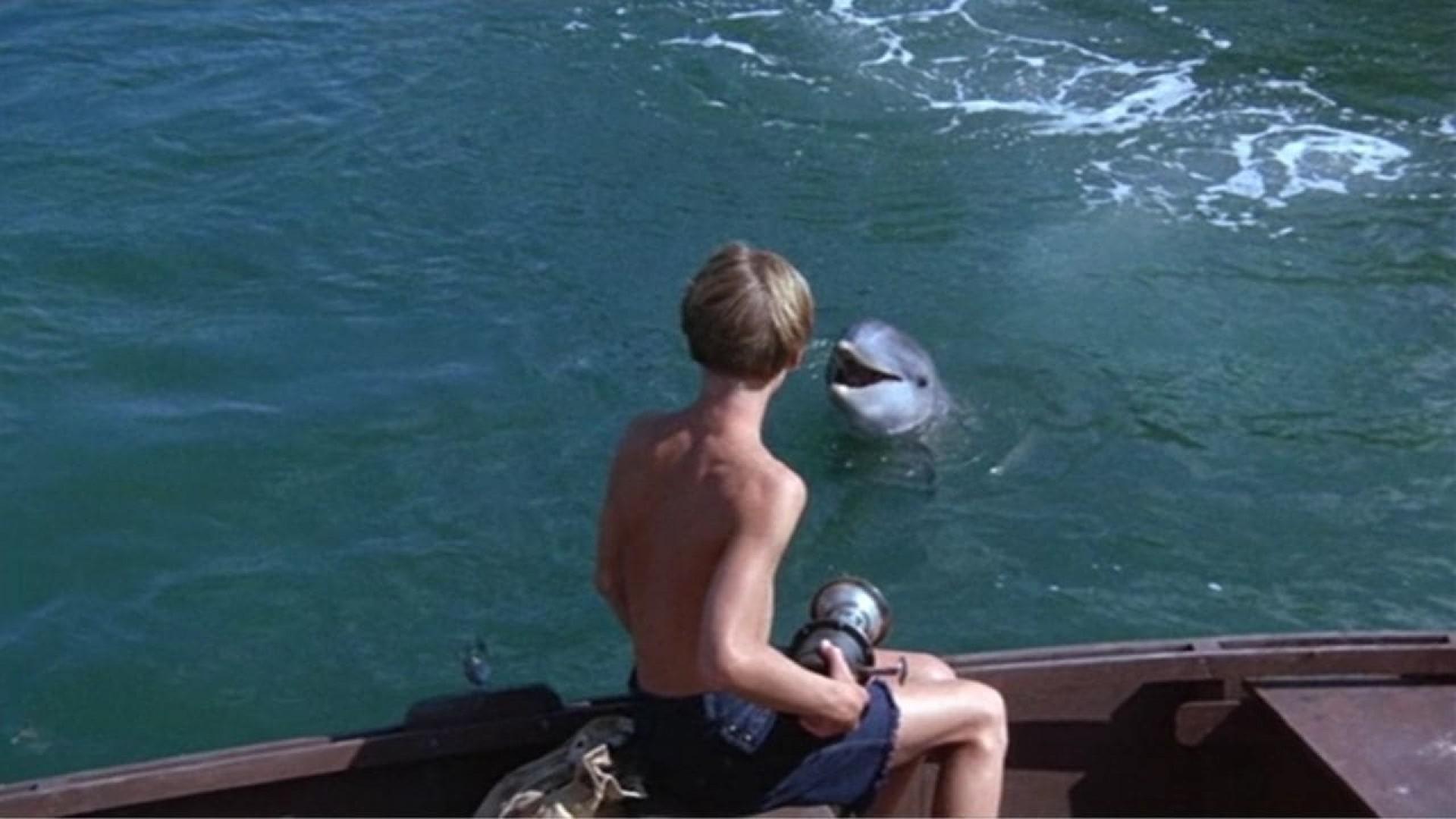 Flipper's New Adventure