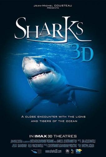 Sharks
