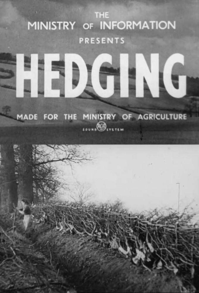 Hedging