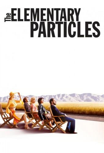 The Elementary Particles