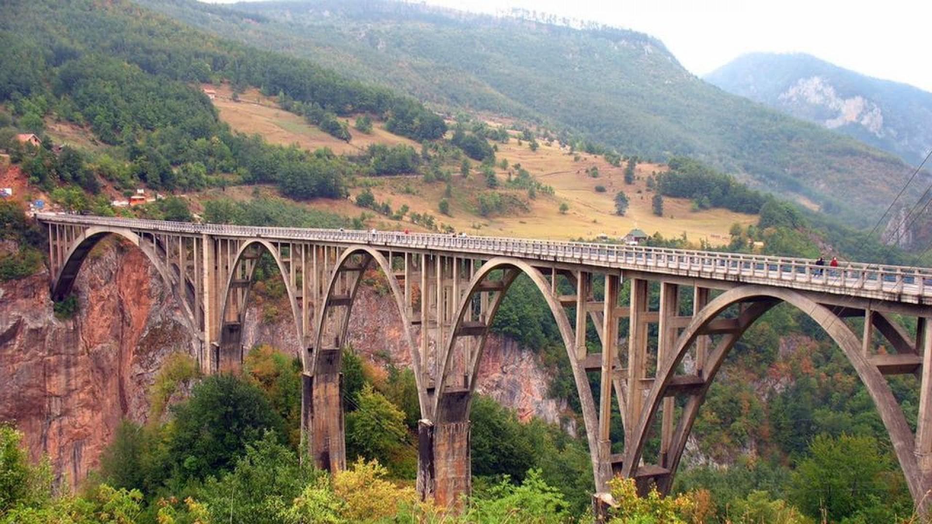 The Bridge
