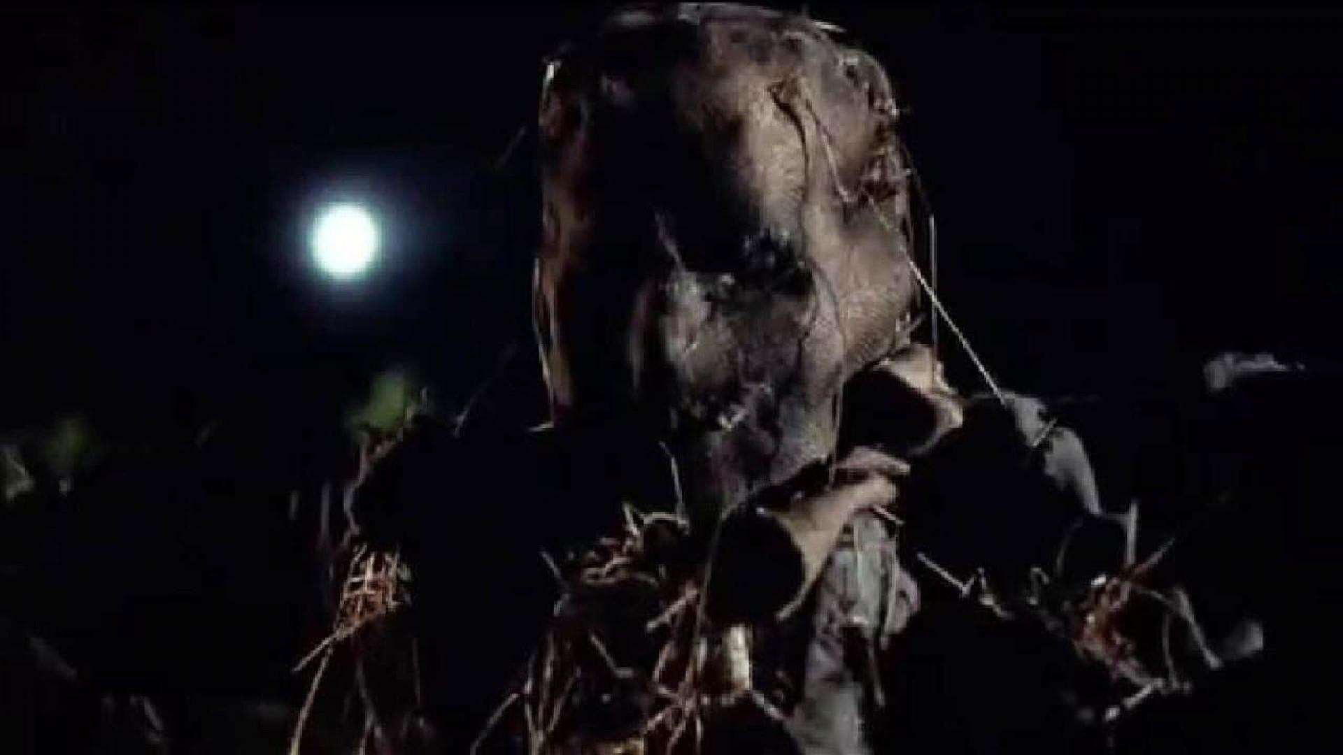 Scarecrow Gone Wild