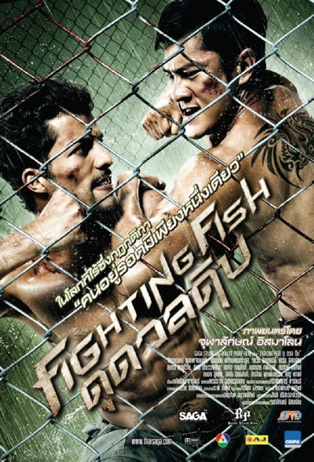 Fighting Fish