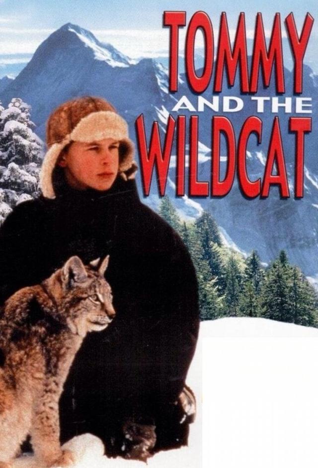 Mon ami le Lynx