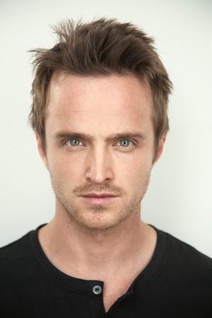Picture of Aaron Paul