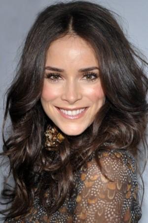 Picture of Abigail Spencer