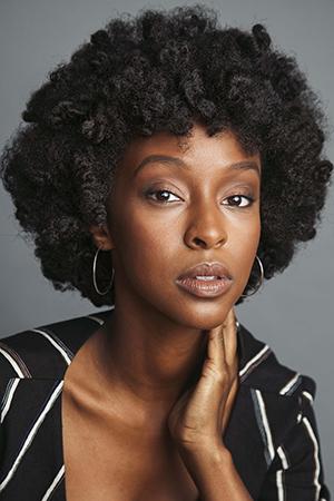 Picture of Ebony Obsidian