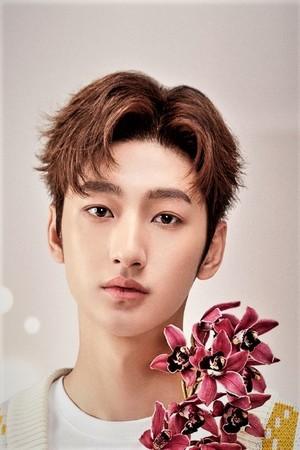 Picture of Liu Te
