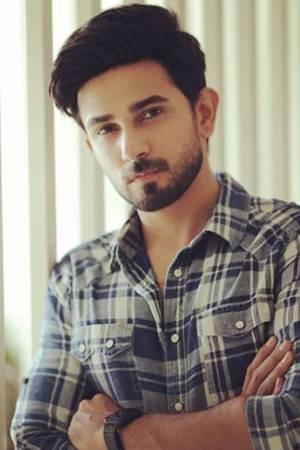 Picture of Ali Ansari
