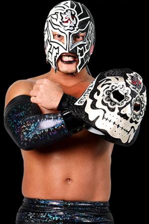 Picture of BUSHI