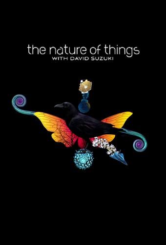 The Nature of Things