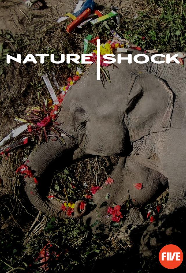Nature Shock