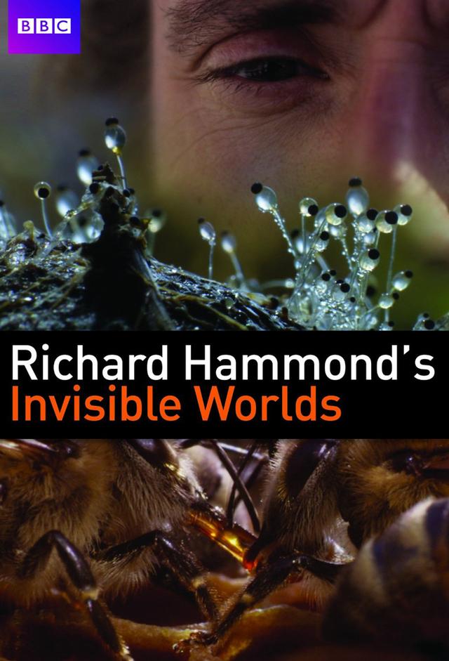 Richard Hammonds unsichtbare Welten