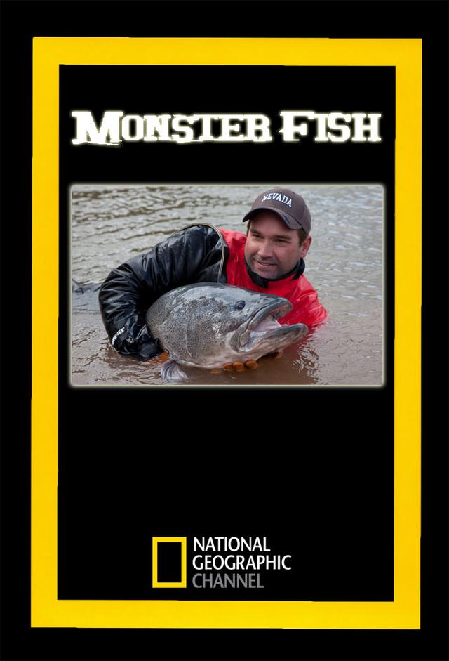 Auf der Suche nach dem Monsterfisch