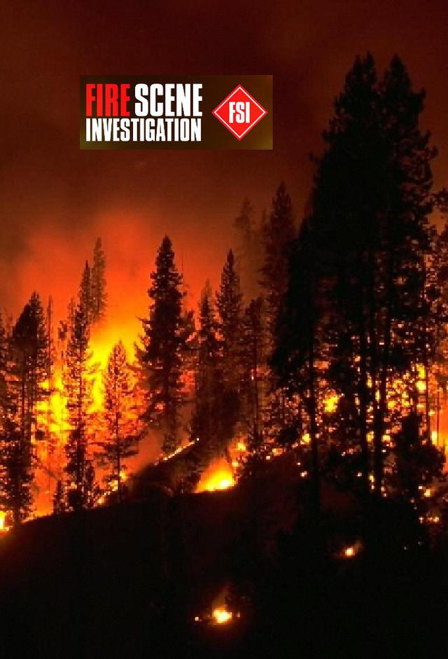 Fire Scene Investigation
