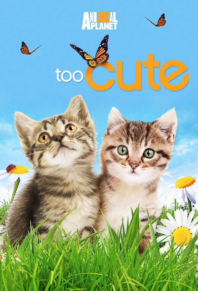 Too Cute