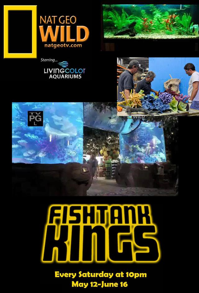 Aquamen : Les rois des aquariums