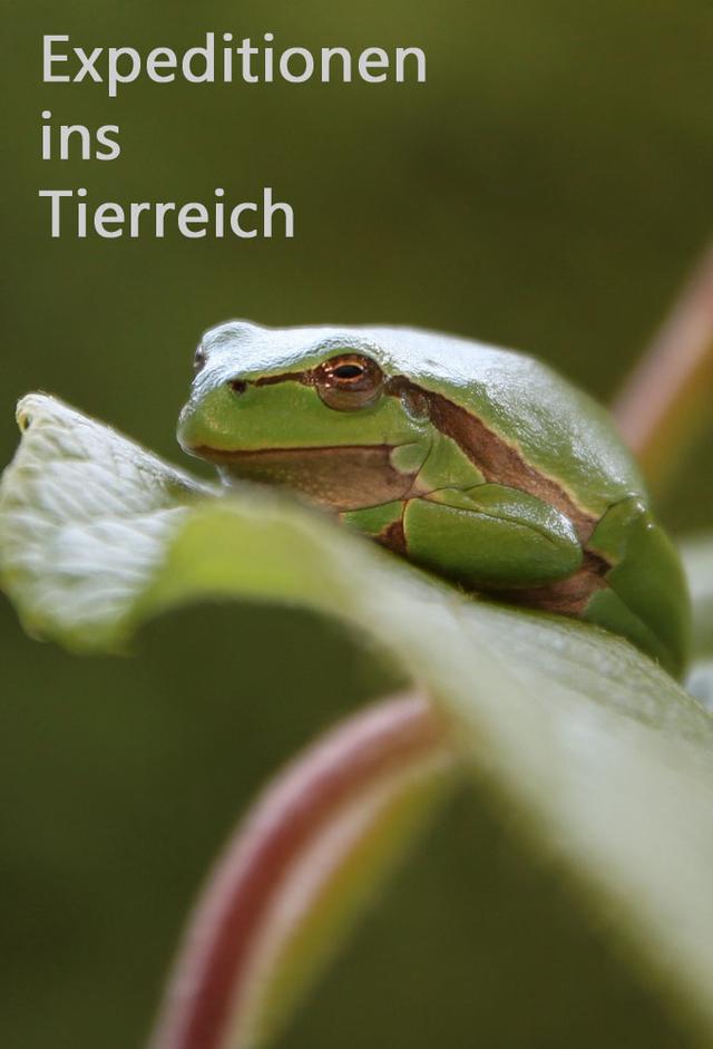 Expeditionen ins Tierreich