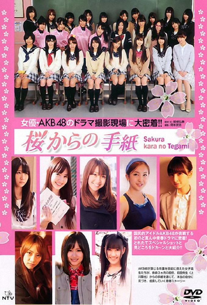 Letters from a Sakura Tree