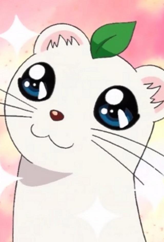 しあわせソウのオコジョさん