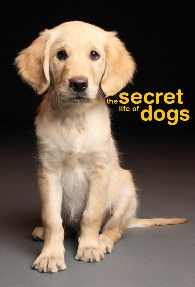 La Vida Secreta de los Perros