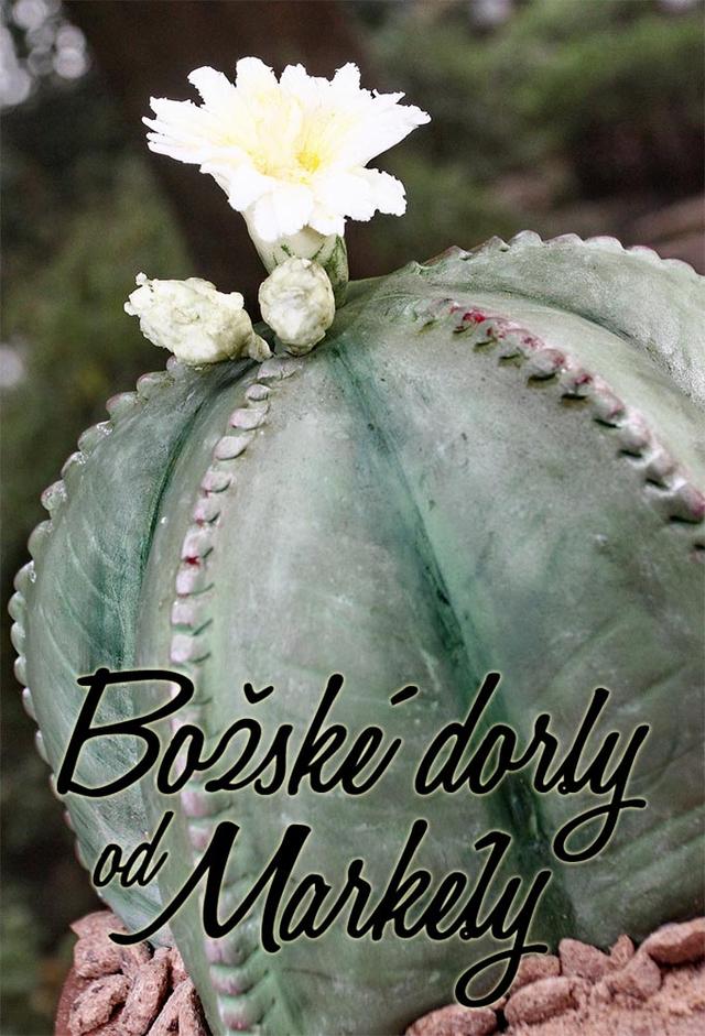 Božské dorty od Markéty