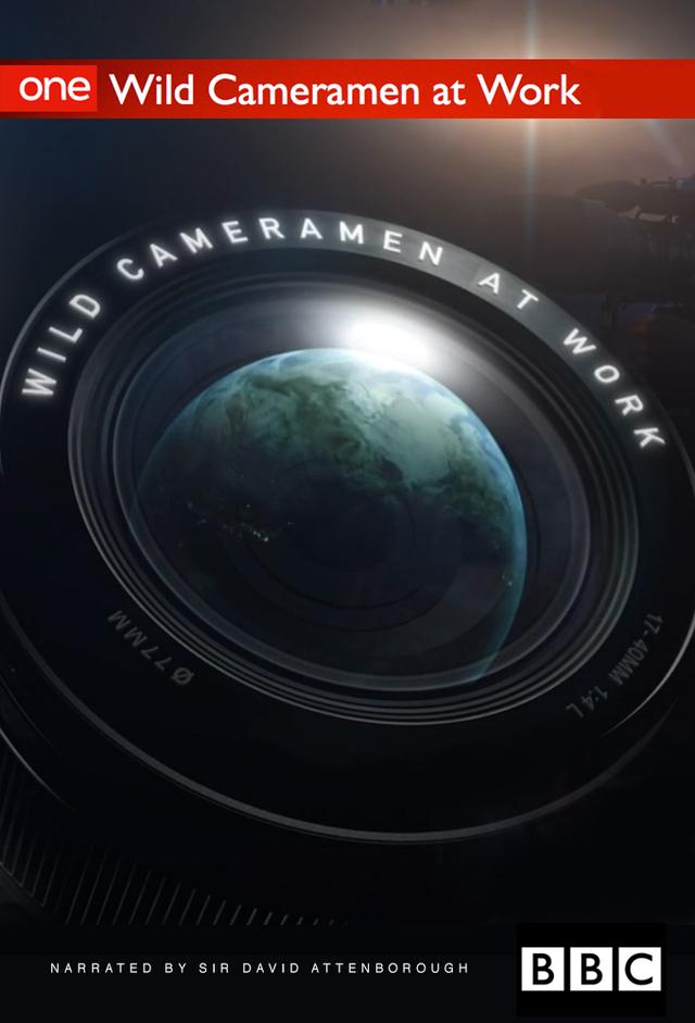 Wild Cameramen at Work