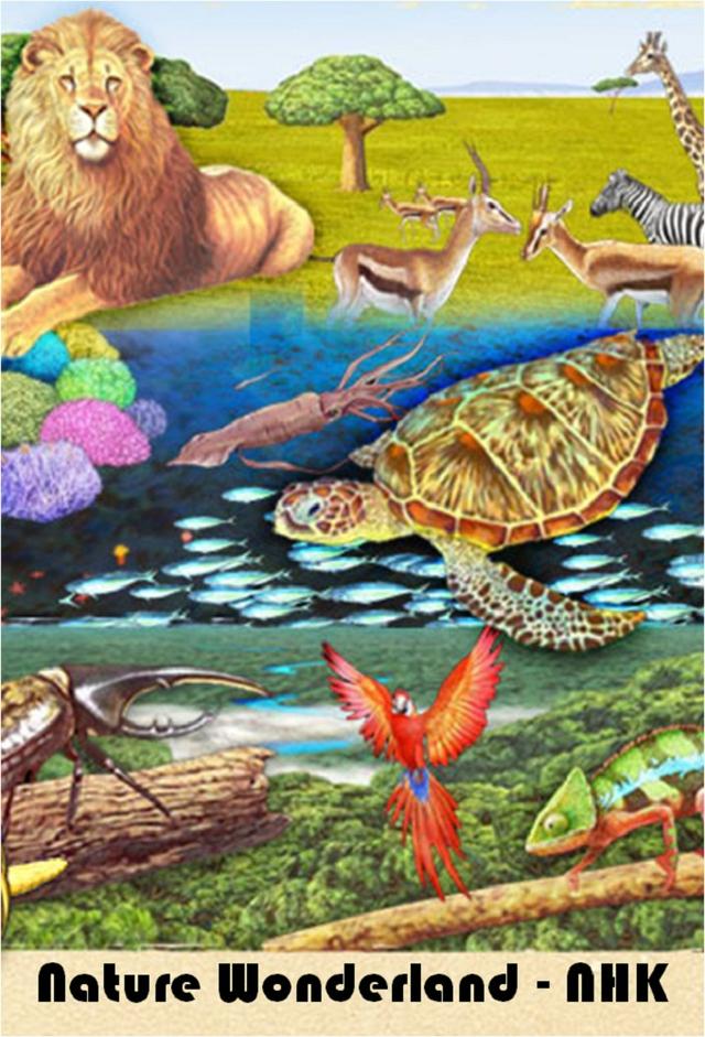Nature Wonderland (NHK)