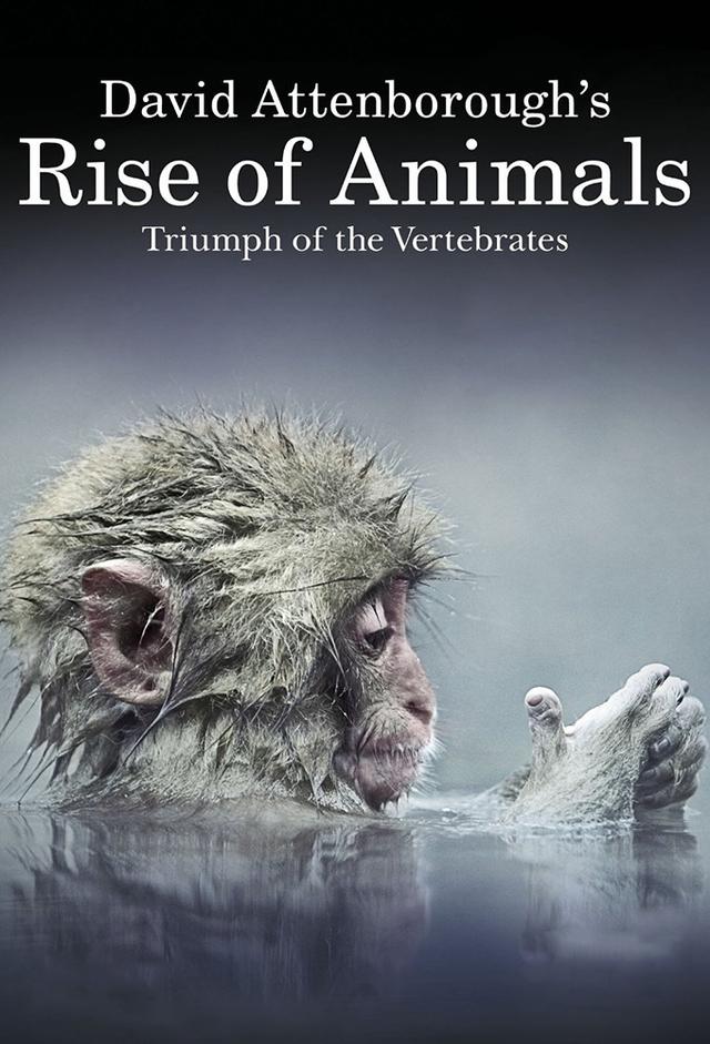 Il pianeta dei mammiferi con David Attenborough