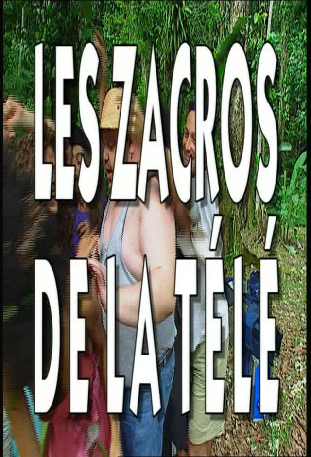 Les Zacros de la télé